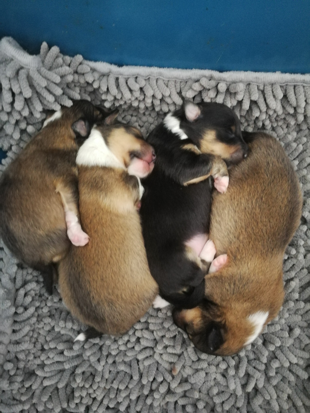 Portée du 4 mars 2026